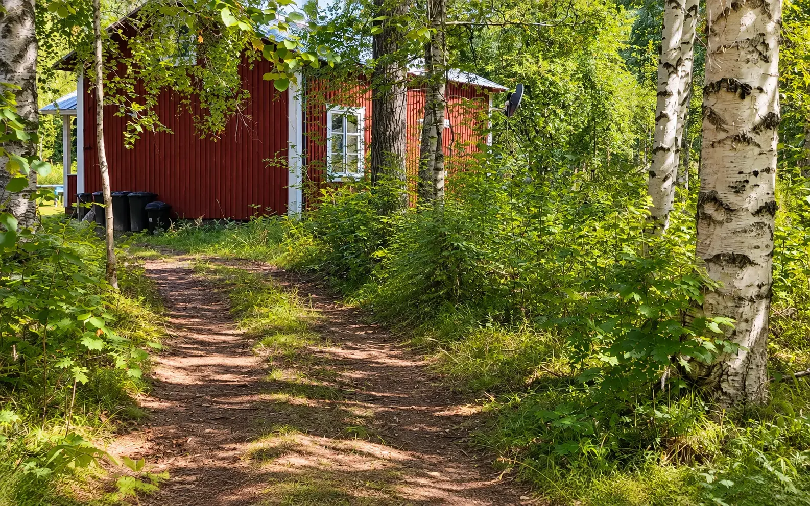 Path and base buildings in the forest