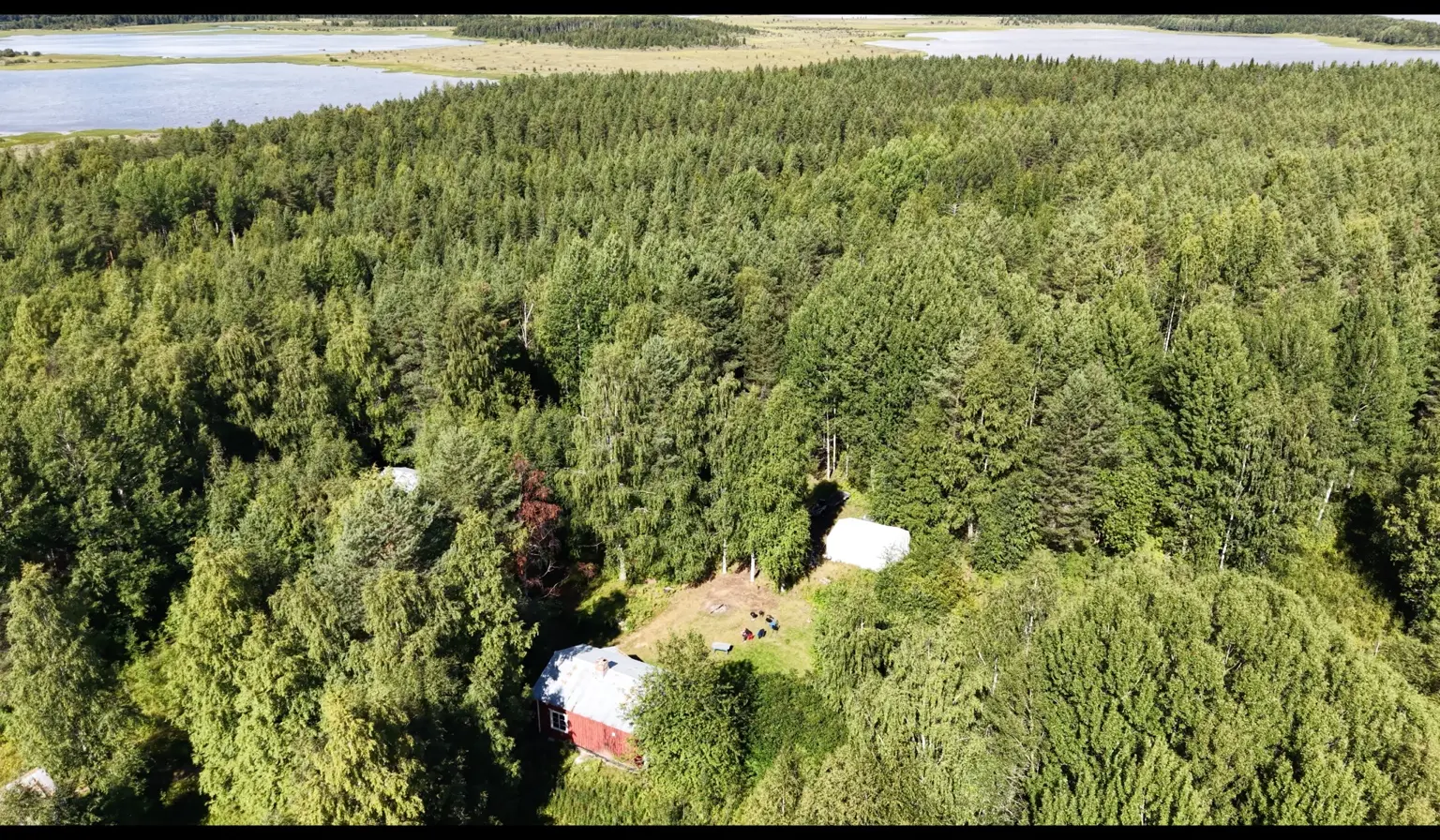 FISKTRIP buildings in the forest